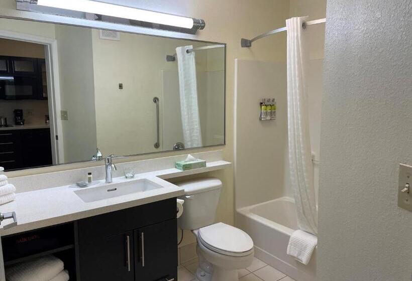 套房, Candlewood Suites East Lansing, An Ihg