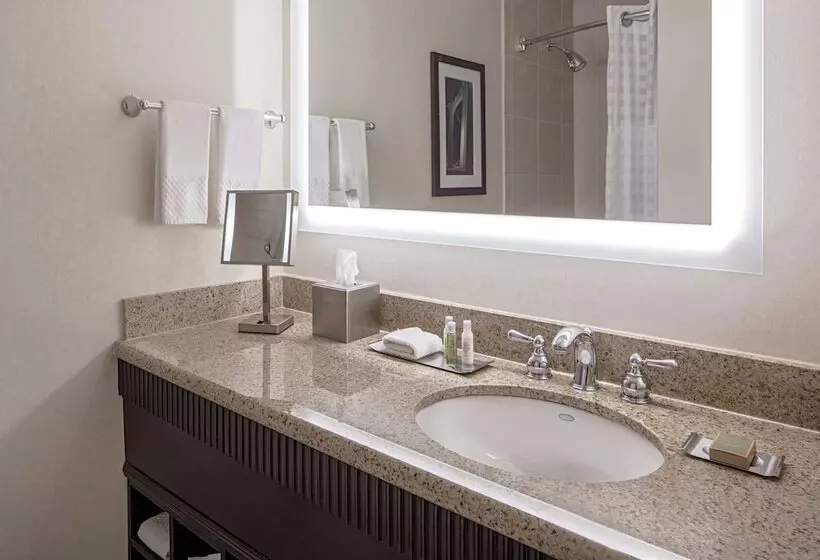 سوییت, Doubletree Suites By Hilton Minneapolis Downtown
