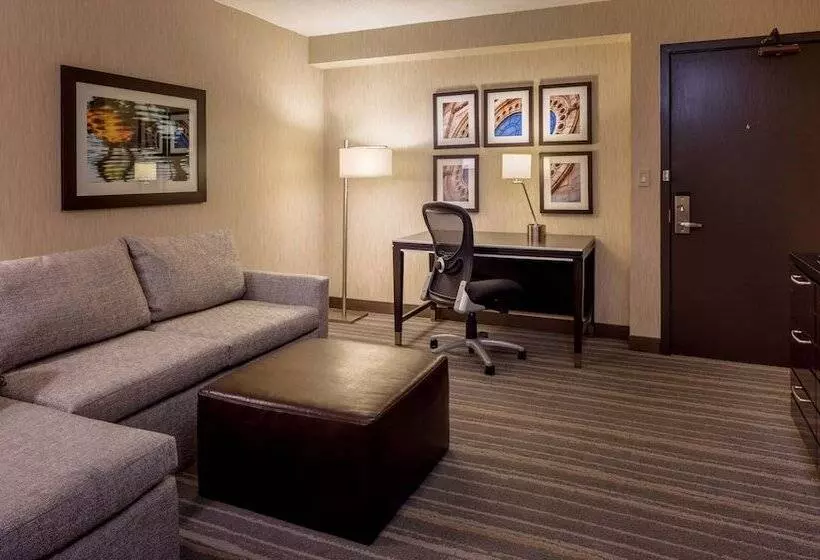 سوییت اجرایی, Doubletree Suites By Hilton Minneapolis Downtown