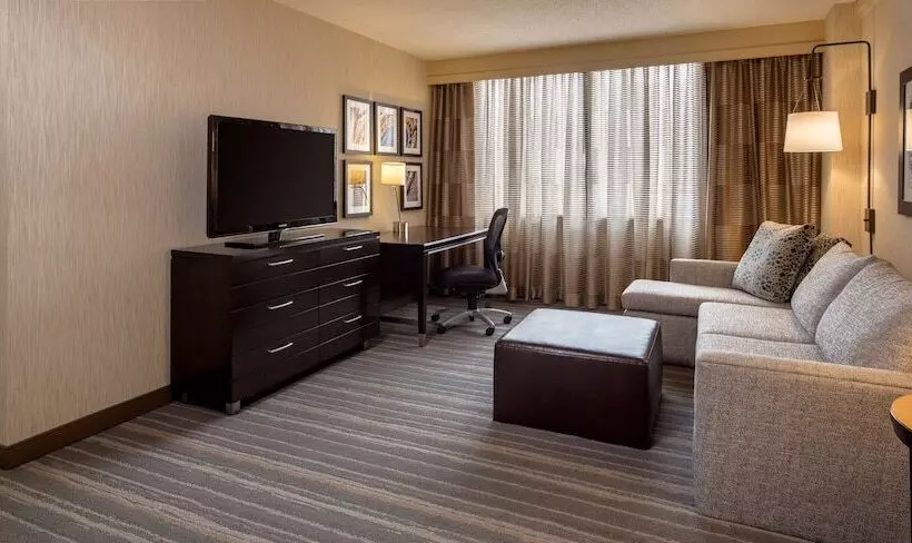 آپارتمان 1 خوابه, Doubletree Suites By Hilton Minneapolis Downtown