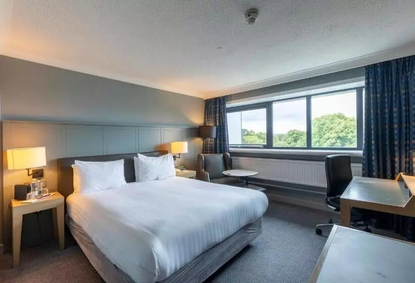 اتاق سوپریور, Holiday Inn Cardiff City, An Ihg
