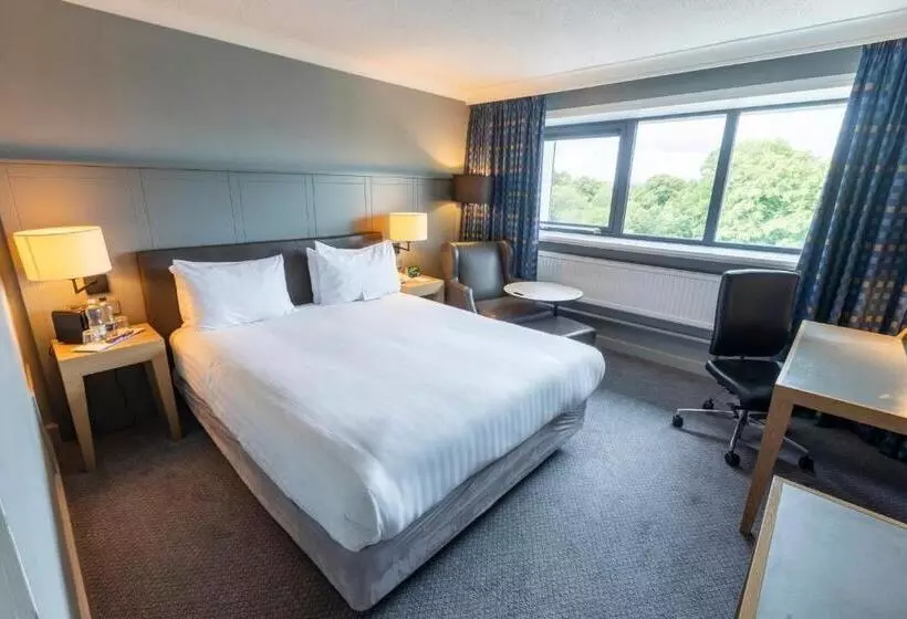 اتاق سوپریور, Holiday Inn Cardiff City, An Ihg