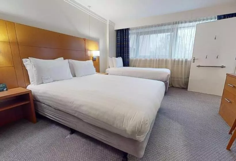 اتاق استاندارد برای معلولان, Holiday Inn Cardiff City, An Ihg
