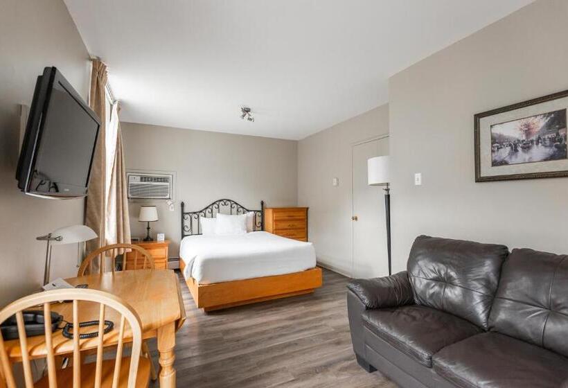 スタンダードスタジオ, Le Roberval