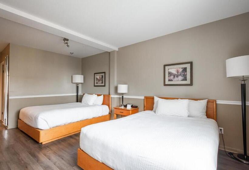 スタンダードルーム, Le Roberval