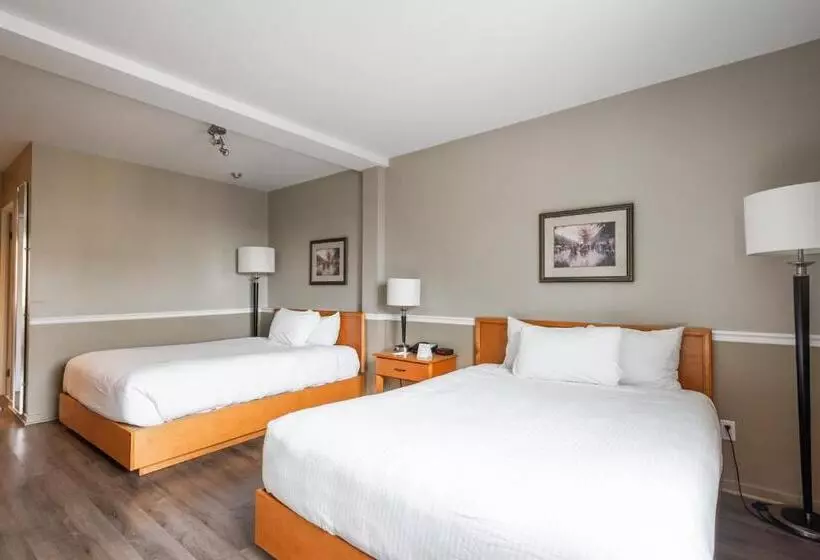 Standard-huone, Le Roberval