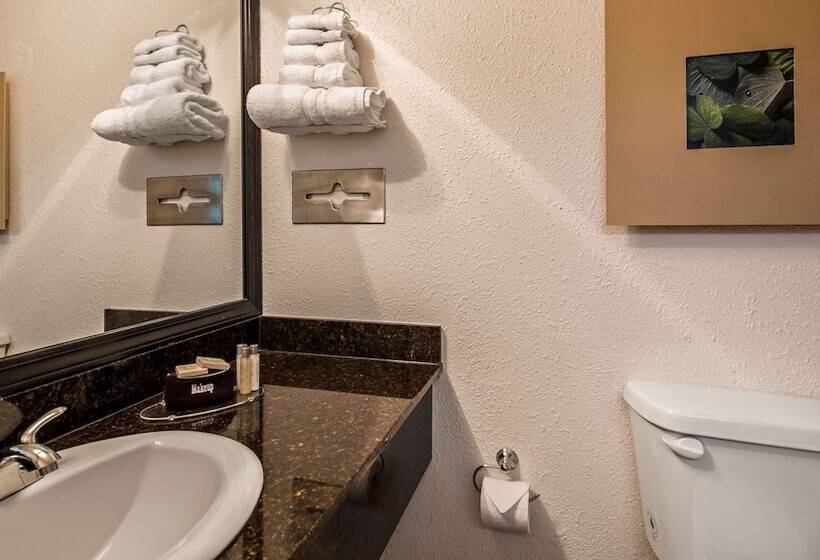 غرفه قياسيه سريرين مزدوجين, Magnolia Bluffs , Bw Signature Collection