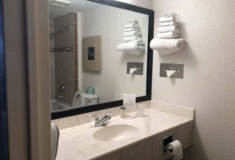 جناح لذوى الاحتياجات الخاصة, Magnolia Bluffs , Bw Signature Collection