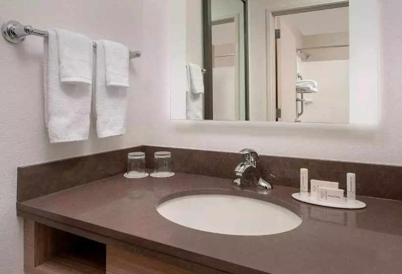 キングサイズベッドのスイートルーム, Springhill Suites By Marriott Portland Hillsboro