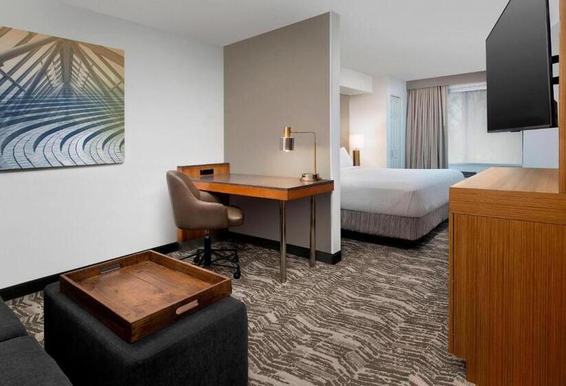 Люкс Кровать Кинг, Springhill Suites By Marriott Portland Hillsboro