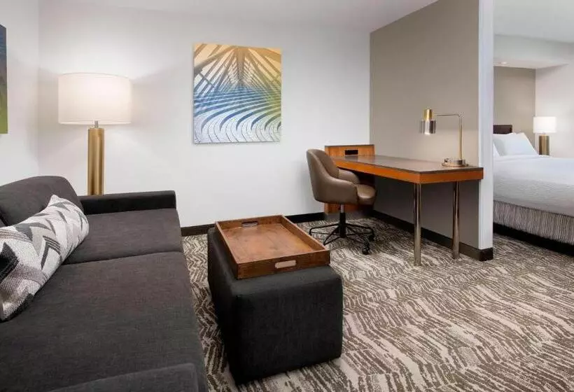 キングサイズベッドのスイートルーム, Springhill Suites By Marriott Portland Hillsboro