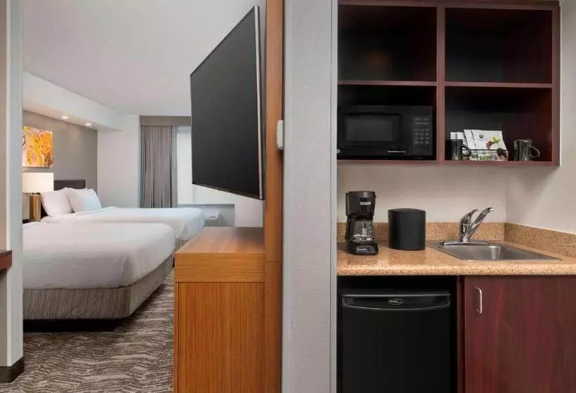 スイート, Springhill Suites By Marriott Portland Hillsboro