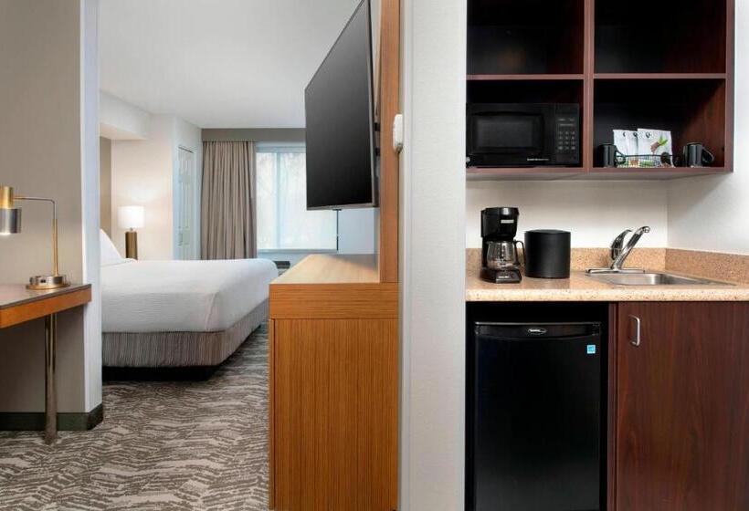 جناح ديلوكس سرير كينج, Springhill Suites By Marriott Portland Hillsboro