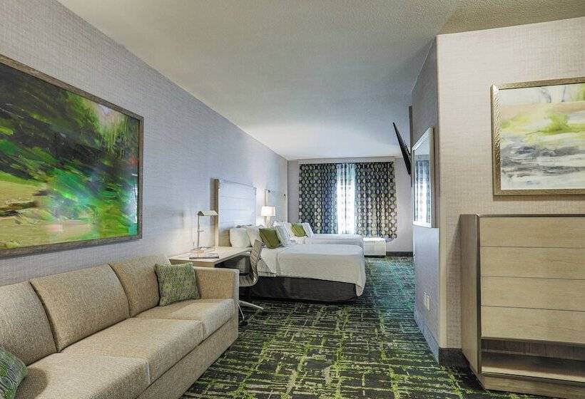 Студия Стандарт, Springhill Suites Prescott