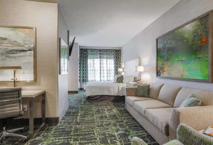 استودیو استاندارد با تخت کینگ, Springhill Suites Prescott