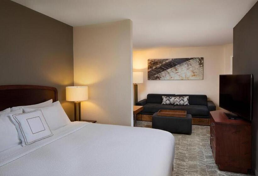 带大床的套房, Springhill Suites By Marriott Tampa Westshore