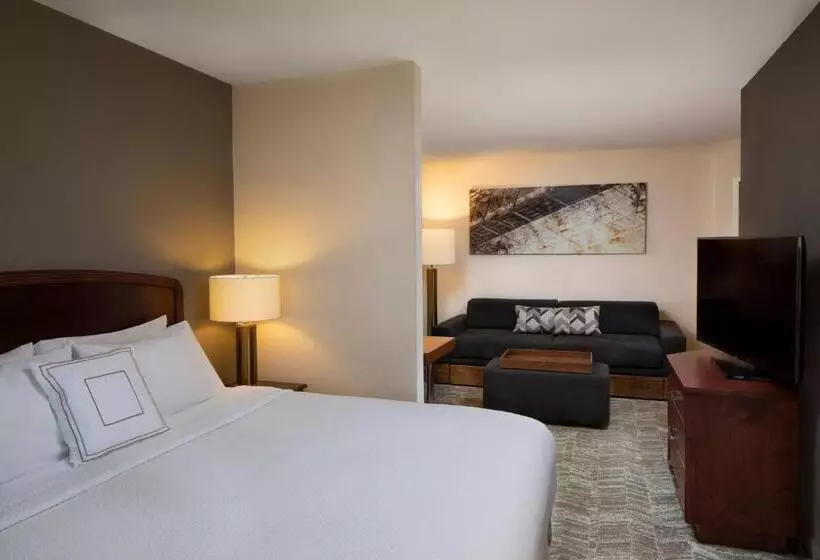 キングサイズベッドのスイートルーム, Springhill Suites By Marriott Tampa Westshore