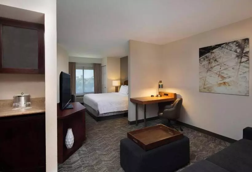 キングサイズベッドのスイートルーム, Springhill Suites By Marriott Tampa Westshore