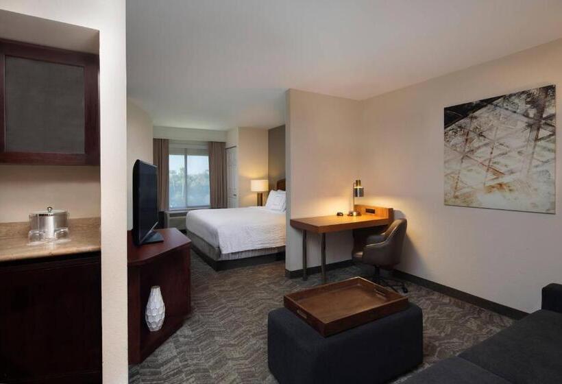 适合残疾人士使用的套间, Springhill Suites By Marriott Tampa Westshore