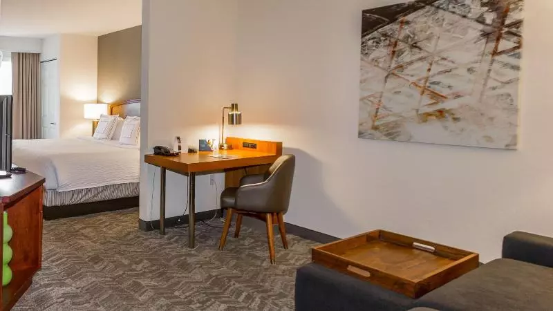 キングサイズベッドのスイートルーム, Springhill Suites By Marriott Tampa Westshore