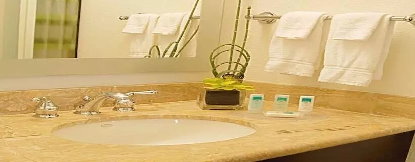 スイート, Springhill Suites By Marriott Tampa Westshore
