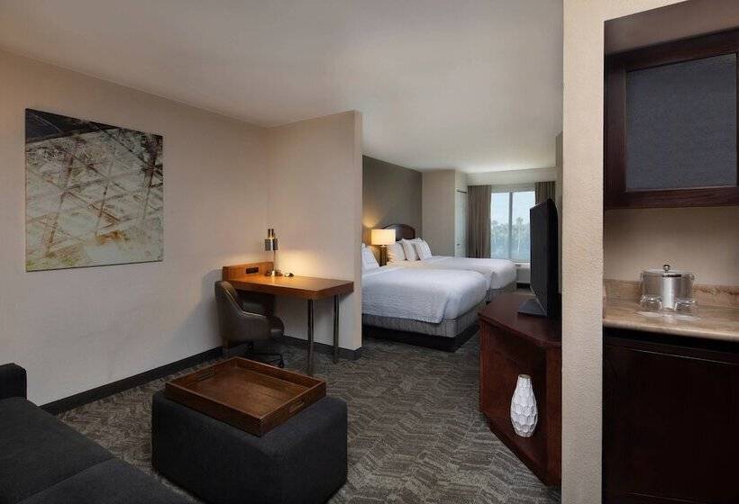 套房, Springhill Suites By Marriott Tampa Westshore