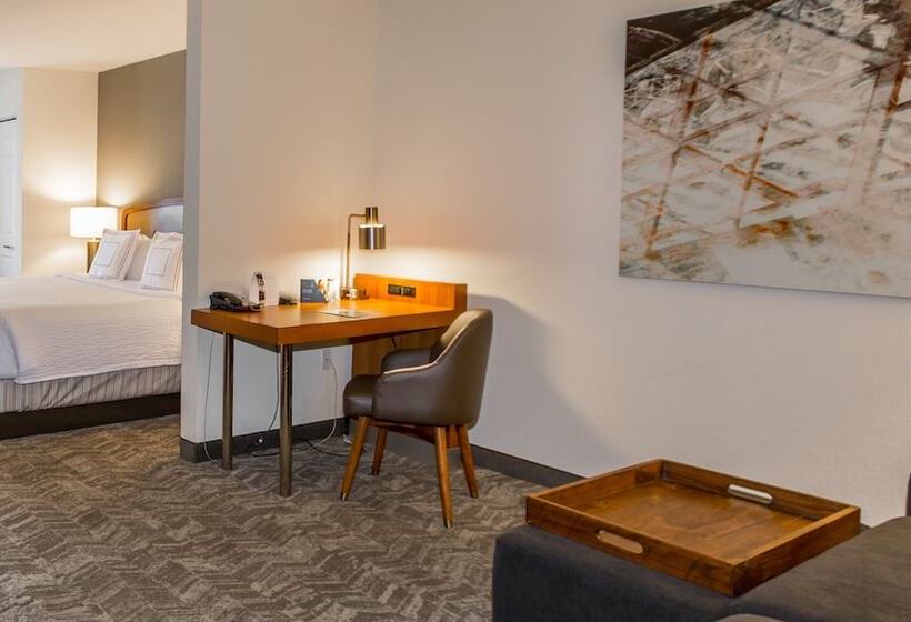Люкс, Springhill Suites By Marriott Tampa Westshore