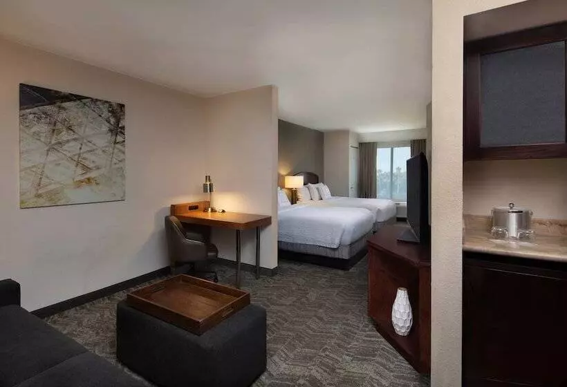 身障者適用スイートルーム, Springhill Suites By Marriott Tampa Westshore