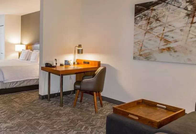 身障者適用スイートルーム, Springhill Suites By Marriott Tampa Westshore