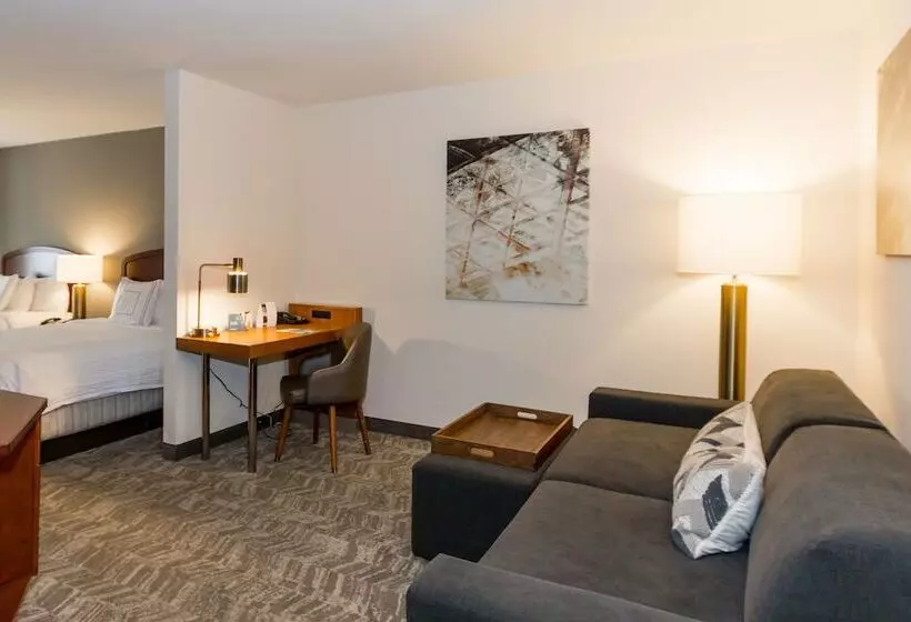 身障者適用スイートルーム, Springhill Suites By Marriott Tampa Westshore