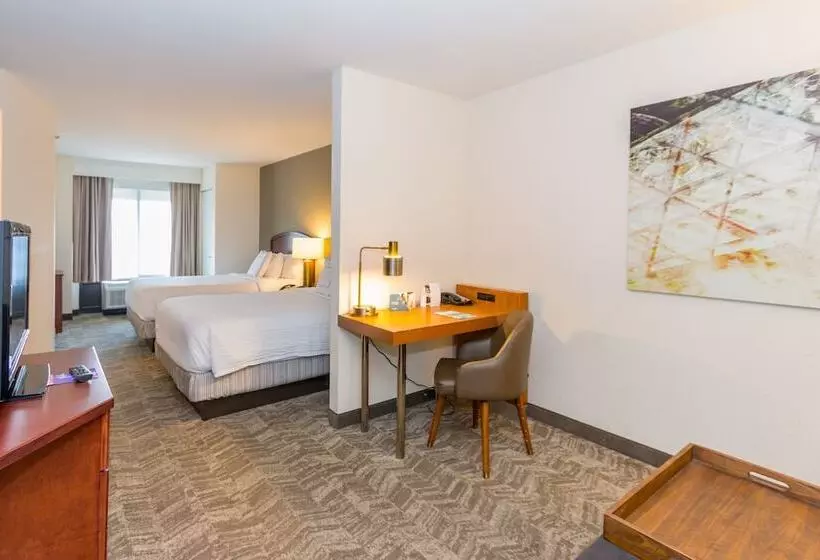 身障者適用スイートルーム, Springhill Suites By Marriott Tampa Westshore