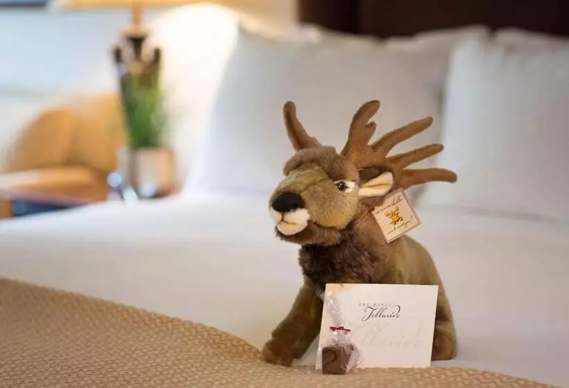 اتاق استاندارد با تخت بزرگ, The Hotel Telluride
