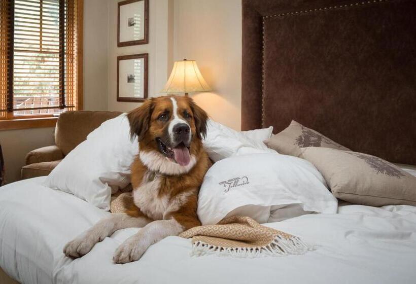 Стандартный Номер Кровать Кинг, The Hotel Telluride