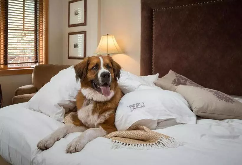 اتاق استاندارد با تخت بزرگ, The Hotel Telluride
