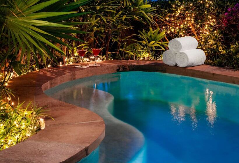 סוויטה נוף לים, One&only Palmilla