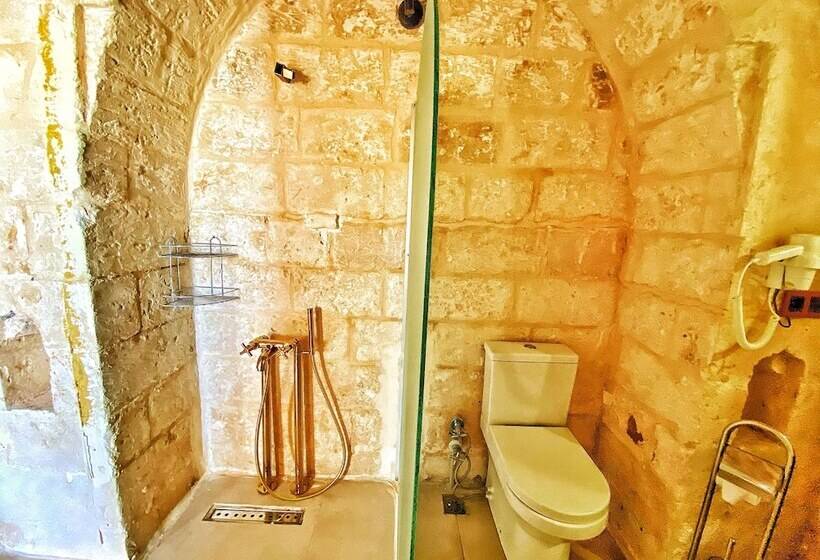 اتاق استاندارد با تخت دوبل, Fairouz Otel