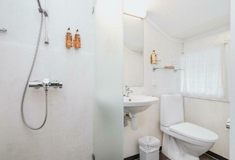 Номер Стандарт, Frich`s Kongsvold