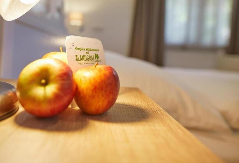 Номер Стандарт Индивидуальный, Landgraf