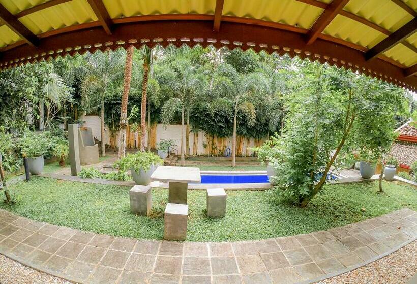 Номер Стандарт Вид на Бассейн, Terrace Garden Ayurveda Resort