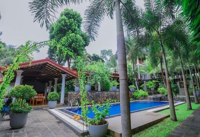 标准间带游泳池, Terrace Garden Ayurveda Resort