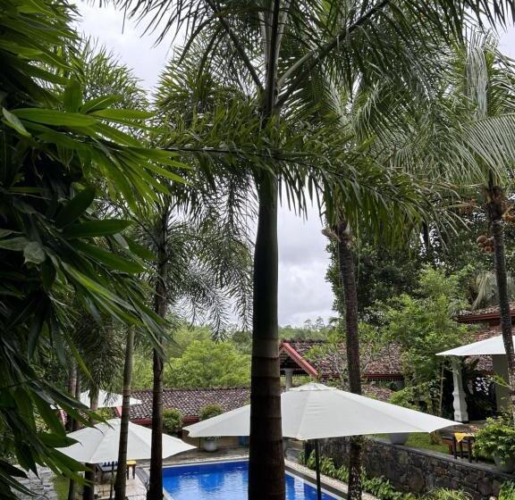 标准间带游泳池, Terrace Garden Ayurveda Resort