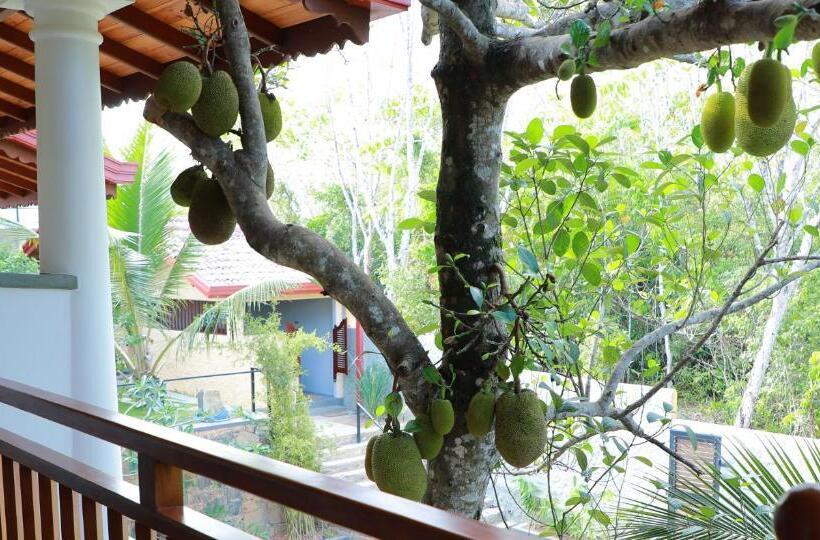 标准间带阳台, Terrace Garden Ayurveda Resort