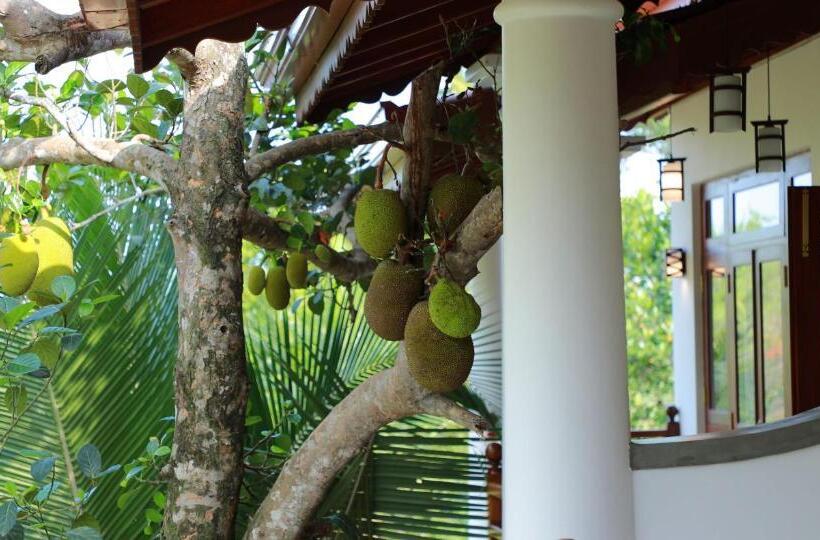 Номер Стандарт с Балконом, Terrace Garden Ayurveda Resort
