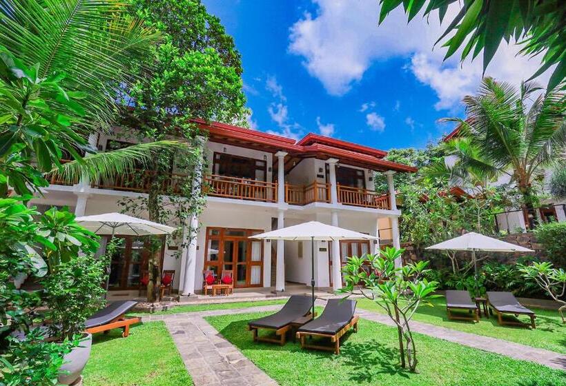 带园景的单人房, Terrace Garden Ayurveda Resort