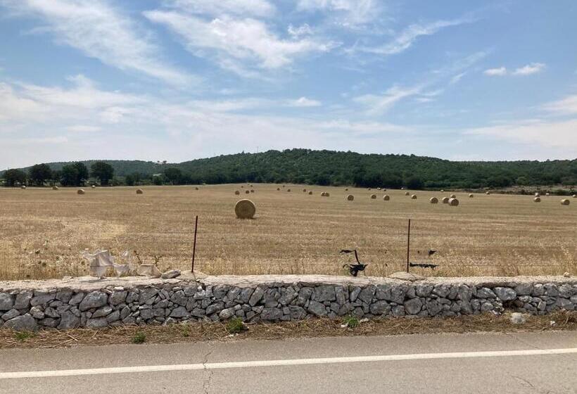 اتاق خانوادگی, Borghetto Pedale