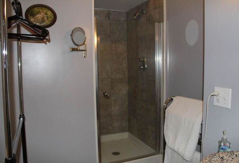 غرفة قياسية, Monroe Manor Inn