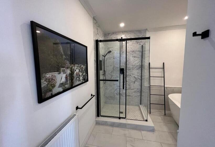 חדר דחוקס עם מיטת קינג, The Jane Toronto