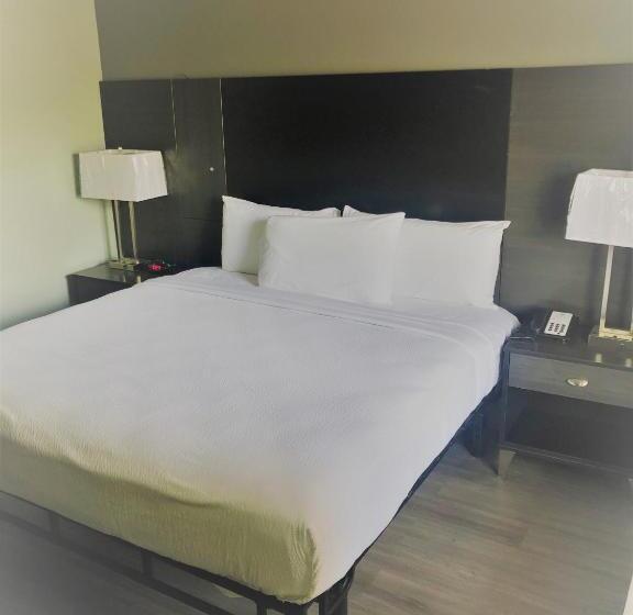 غرفة قياسية سرير كينج, Surestay Hotel By Best Western Conway