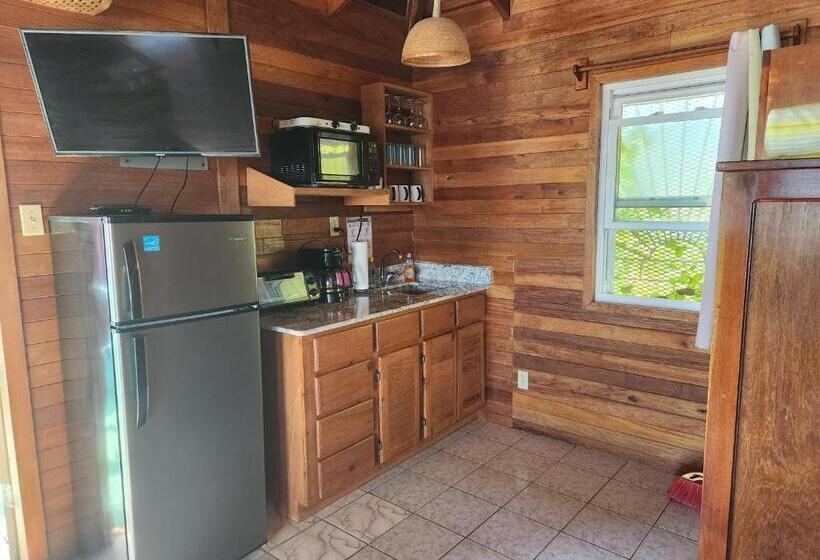 استودیوی استاندارد با چشمانداز دریا, Coco's Beachfront Cabanas