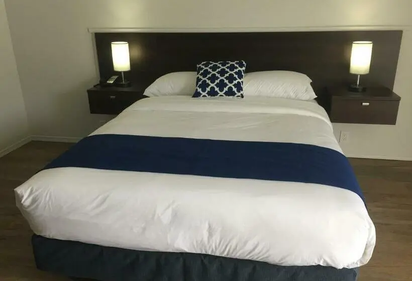 Standard Room Adapted for people with reduced mobility, Humpback Inn